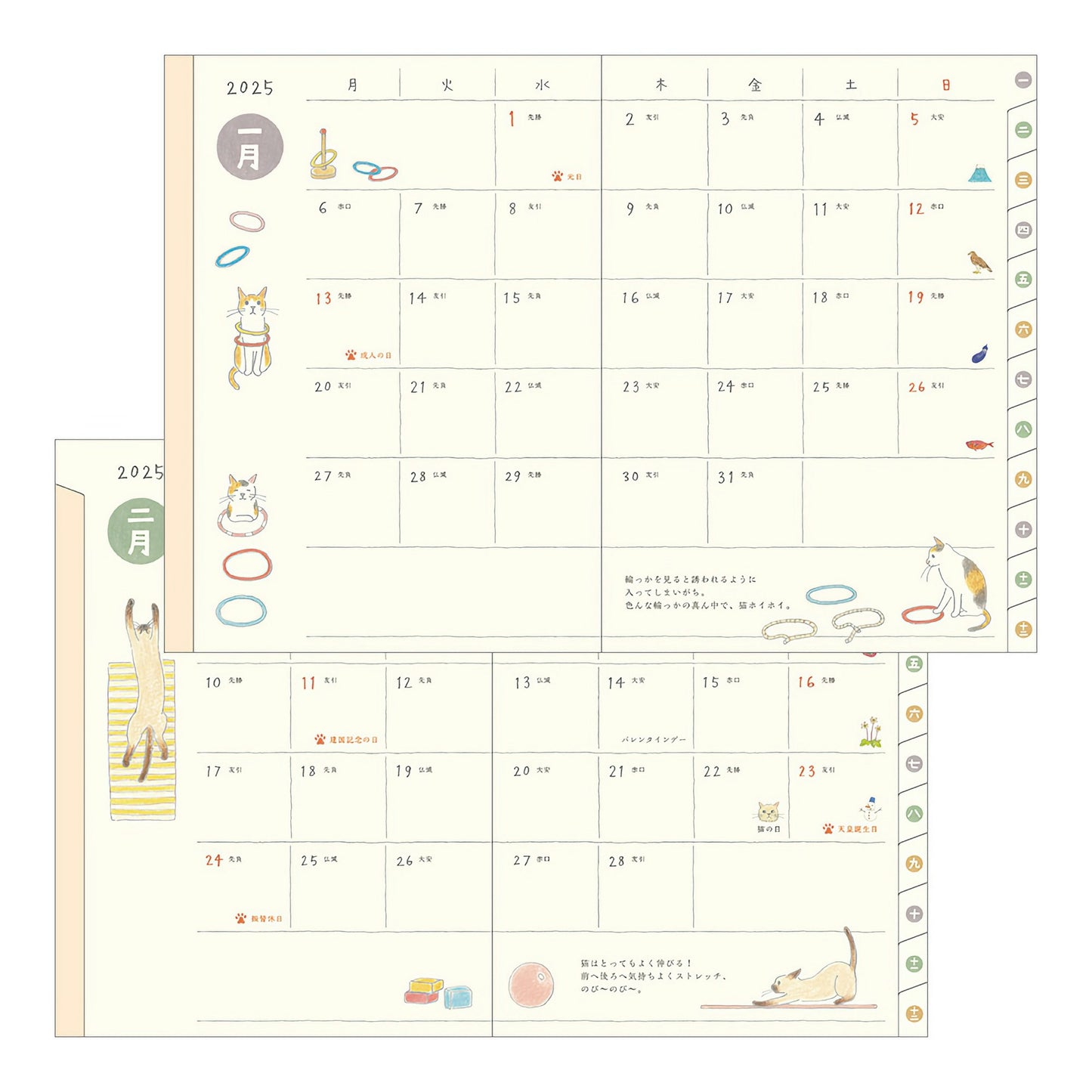 Midori MD Pocket Diary 2025 - A6 Cat