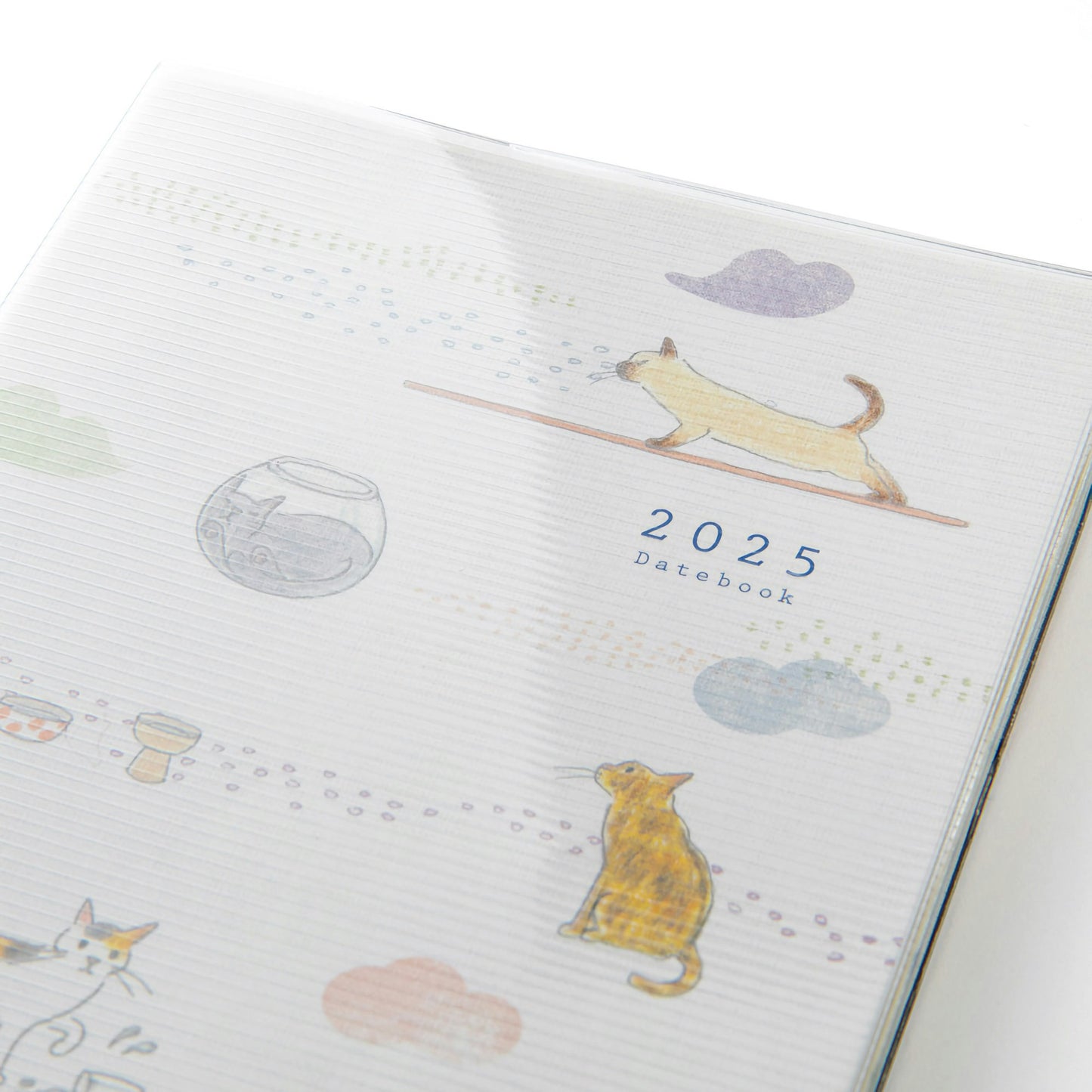 Midori MD Pocket Diary 2025 - A6 Cat