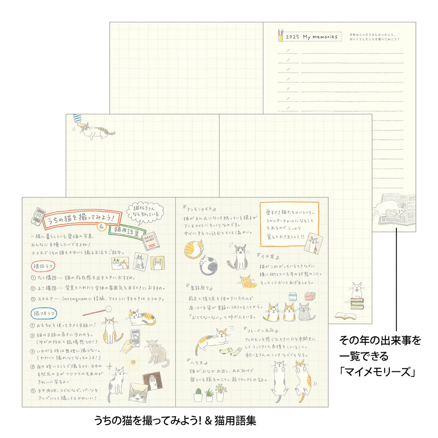 Midori MD Pocket Diary 2025 - A6 Cat