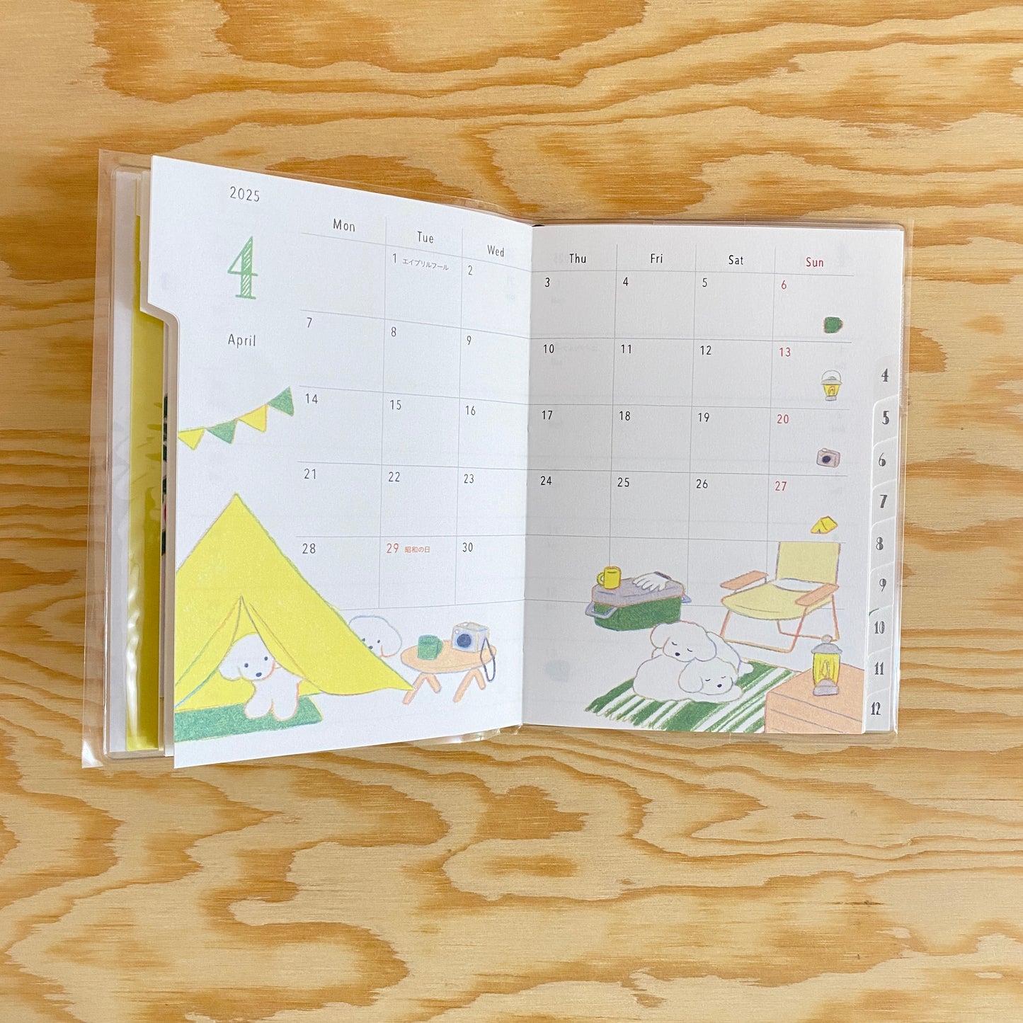 Midori MD Pocket Diary 2025 - A6 Dog