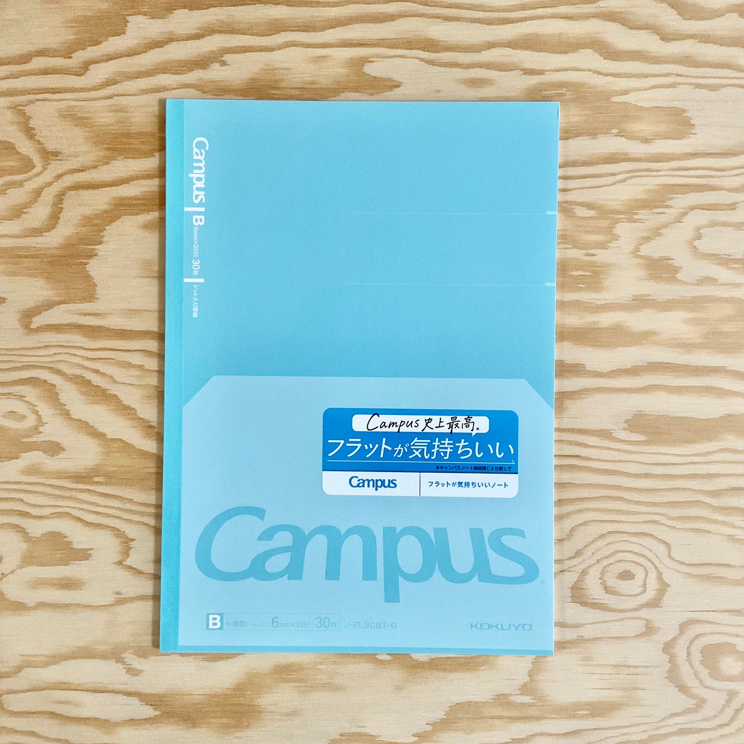 Campus Flat Lined Semi-B5 Notebook - Seafoam