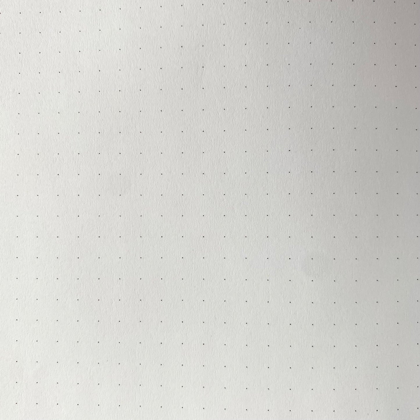 A zoomed in view of the dotted grid design inside the notebook.