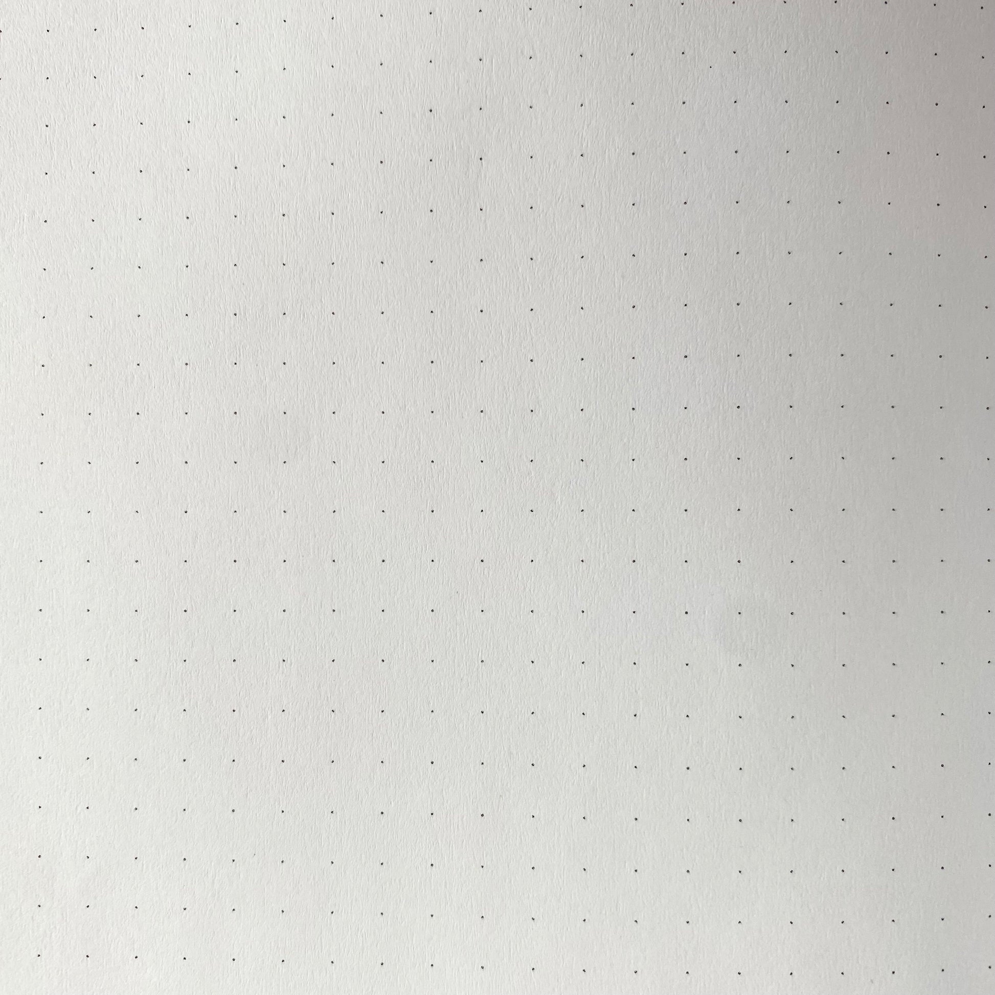A zoomed in view of the dotted grid design inside the notebook.