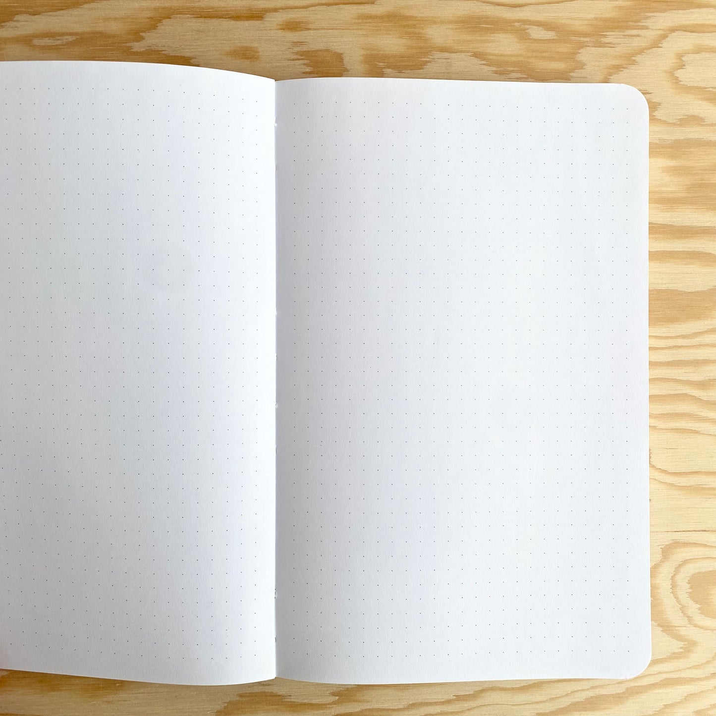 An opened notebook showcasing the dotted grid design inside of the notebook.